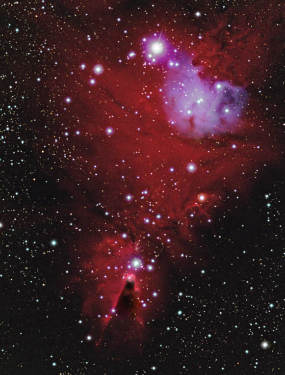 Offener Sternhaufen NGC 2264 mit Emissionsnebel und Reflexionsnebel (Sternbild Einhorn)
