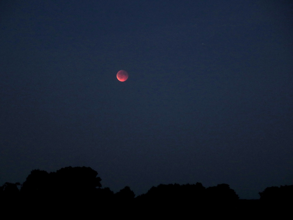 Totale Mondfinsternis am 07.09.2025 ber dem Ostmoor in Buxtehude